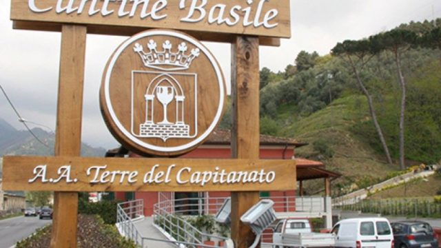 Cantine Basile – Terre Del Capitanato